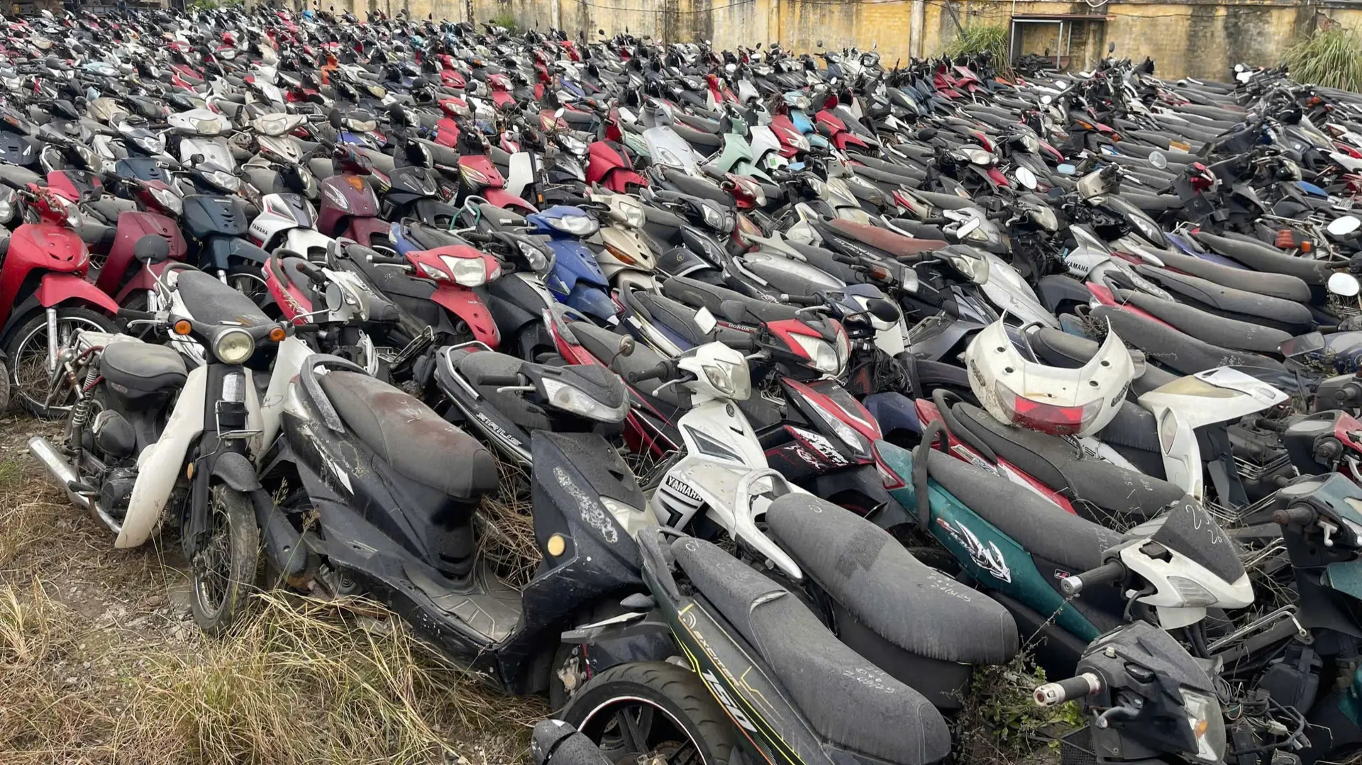 Đấu giá gần 2.000 phương tiện vi phạm hành chính